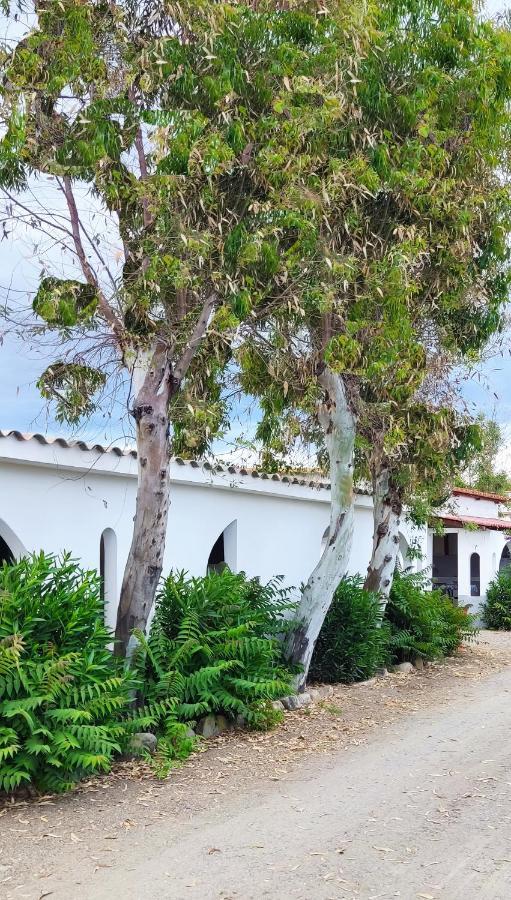 Camping Village Torrenova Cirò Marina Zewnętrze zdjęcie