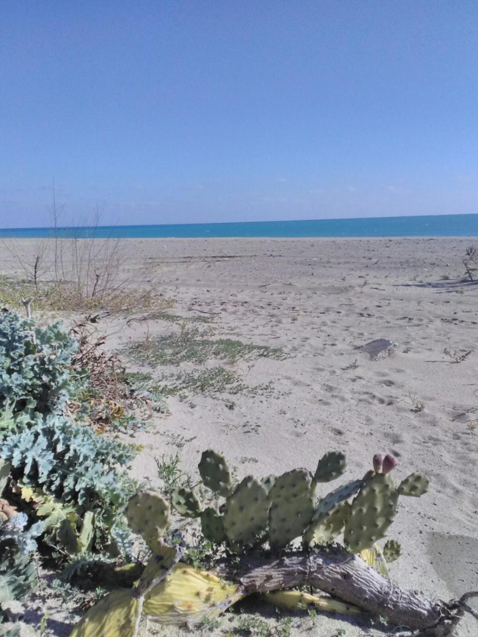 Camping Village Torrenova Cirò Marina Zewnętrze zdjęcie